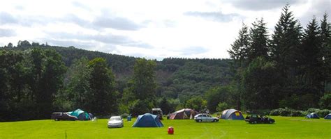 Bracelands campsite, Forest of Dean | Forest of dean, Outdoor camping ...