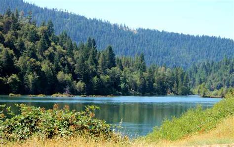 Lewiston Lake Fish Report - Lewiston, CA (Trinity County)