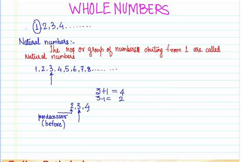 01 Natural numbers and their properties CBSE MATHS - YouTube