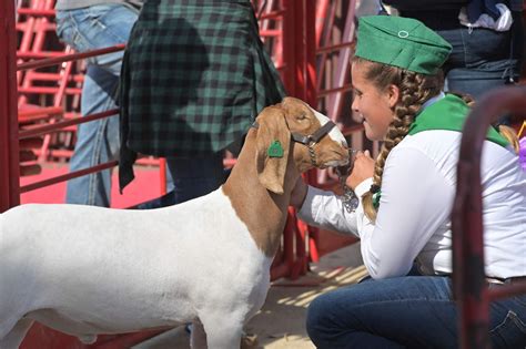 Ventura County Fair - Ventura County Fairgrounds