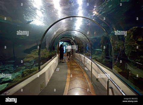 Aquarium barcelona port vell barcelona hi-res stock photography and images - Alamy