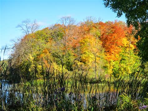 Minnesota Fall Visit