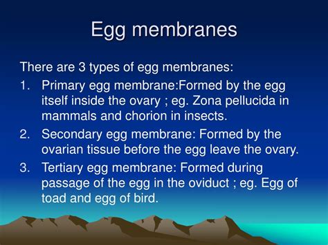 PPT - Egg membranes PowerPoint Presentation, free download - ID:5625378