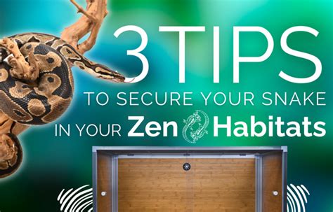 3 Simple Tips On Keeping Your Pet Snake Secure In A Zen Habitats Enclo