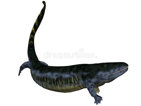 Eogyrinus Attheyi - 3D Dinosaur Stock Illustration - Illustration of chordata, underwater: 48212353