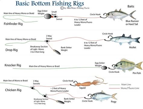 fishing rig diagrams | First - There are two basic kinds of bottom rigs rigs that have ...