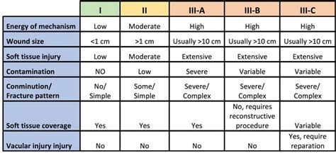 Management of Open Fracture | IntechOpen