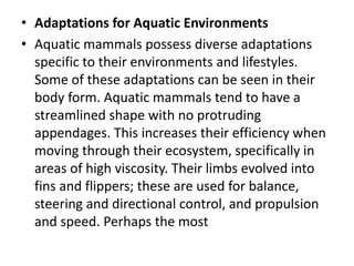 Aquatic adaptations of mammals | PPT