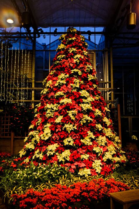 11+ Magical Things to Do During Christmas in Atlanta