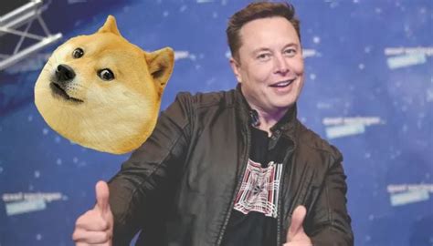 Why did Elon Musk change Twitter logo from bird to Dogecoin?