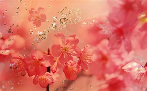 Beautiful Spring Wallpapers - Wallpaper Cave