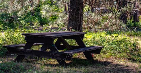 Free stock photo of picnic table, woods