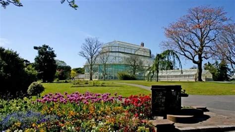 Botanic Gardens Dublin: A Handy 2024 Guide