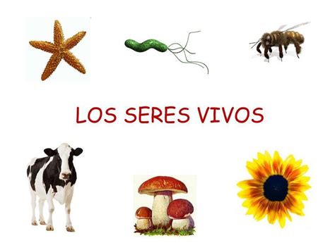 SERES VIVOS | Mind Map