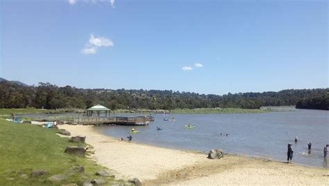 Lilydale Lake in the Yarra Valley - Fun For Everyone - Lilydale Pine ...