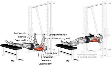 Weighted inverted row (aka weighted body row, weighted supine row, and ...