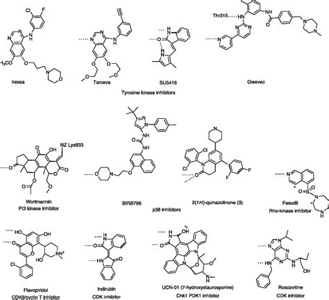 Tyrosine Kinase Structure