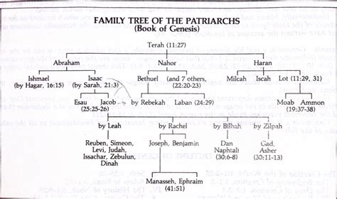 Family Tree of Patriarchs / Ancestors - scook