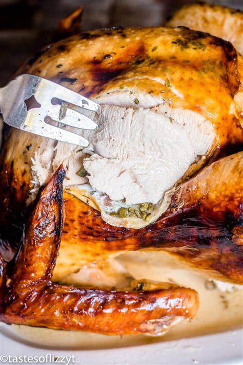 Roast Turkey in an Electric Roaster {Easy Recipe for Thanksgiving Turkey} | Turkey recipes ...