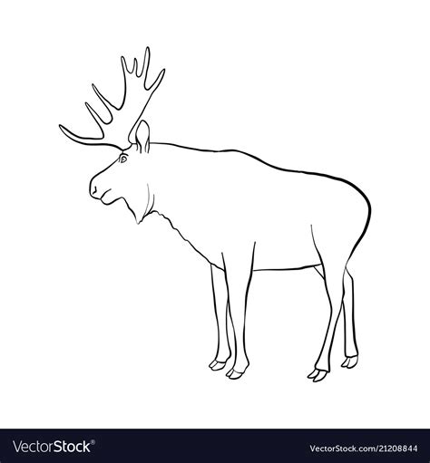 Drawing elk Royalty Free Vector Image - VectorStock