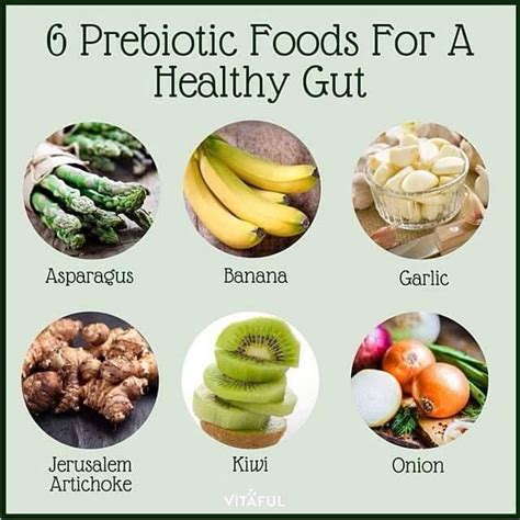 6 prebiotic foods for a healthy gut | Prebiotic foods, Healing food, Healthy gut recipes