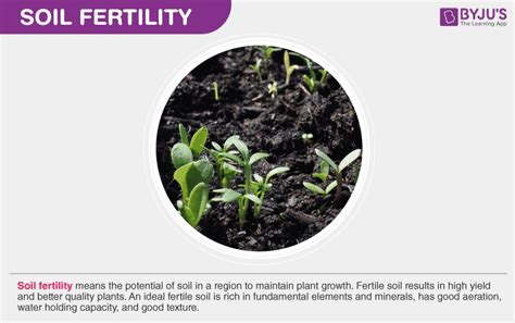 Soil Fertility - Factors Affecting, Nutrient Replenishment