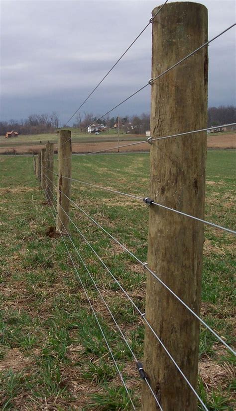 High Tensile Fencing in a Field Goat Fence, Farm Fence, Horse Barn Plans, Horse Barns, Horses ...