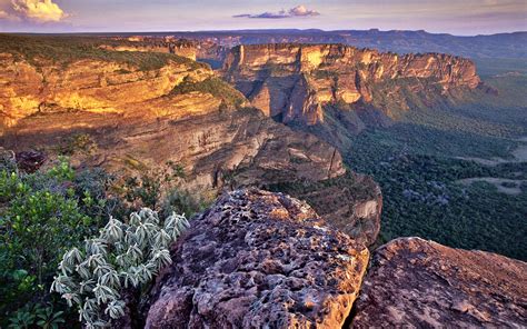 Chapada dos Guimarães: história e aventura - Conexão123