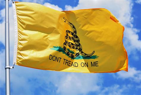 Yellow Gadsden flag, prominent in Capitol takeover, carries a long and ...