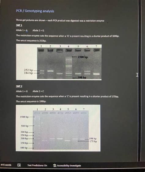 PCR / Genotyping analysis Three gel pictures are | Chegg.com