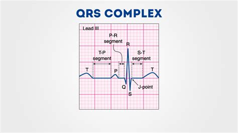 How To Read An Ecg Ekg Part 1 The Basics Of Understanding An | Images and Photos finder