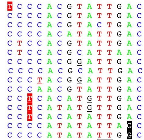 Plant DNA Barcoding Service at Rs 4500/sample in Salem | ID: 6650626155