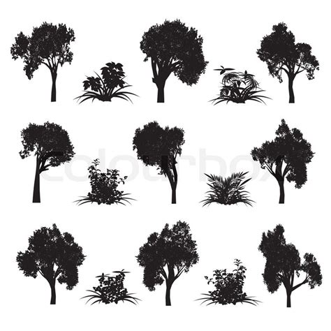 Bush Silhouette Vector at Vectorified.com | Collection of Bush ...