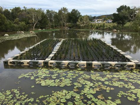 Floating Reed Beds - Floating Reedbeds & Floating Wetlands