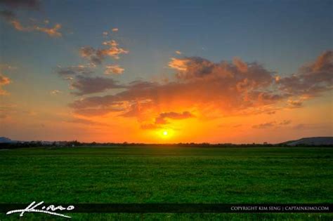 Grassy Sunset at the Park | HDR Photography by Captain Kimo