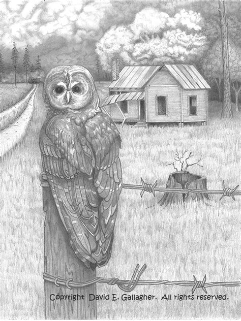 Barn Owl - Pencil Drawing Art Print