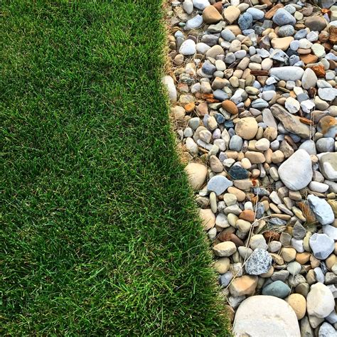 Bed Edge with Weed Whacker and Grass Killer [Backyard Neophyte Landscaping Blog]