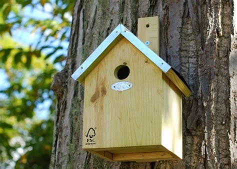 Buy Blue tit nesting box: Delivery by Crocus