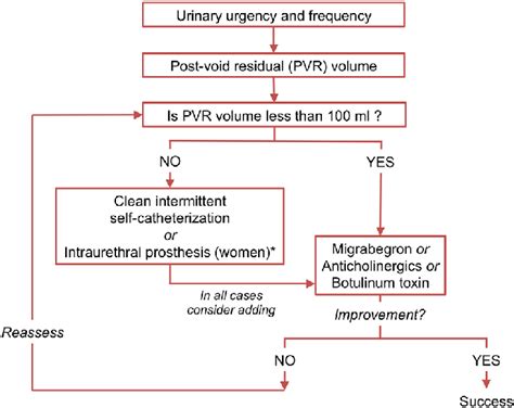 Algorithm for the management of underactive bladder in patients with... | Download Scientific ...