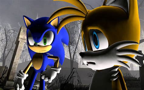 Tails The Fox Sonic X Crying