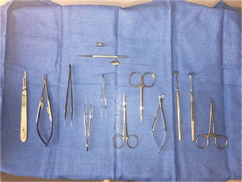 Periorbital Surgical Principles | Ento Key