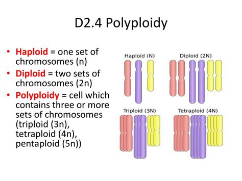 PPT - Speciation PowerPoint Presentation, free download - ID:2141699