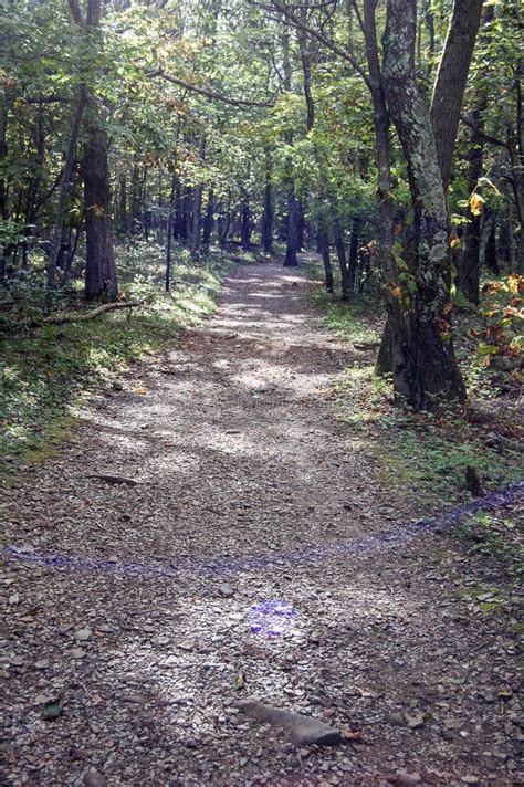 A Trail in the Shenandoah National Park Stock Image - Image of trail ...