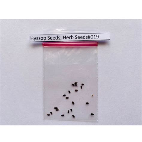 Hyssop Seeds, Herb Seeds#019 – Mays Garden Seed