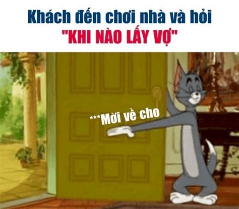 Top 101 ảnh meme mèo Tom hài hước, cute tải xuống miễn phí