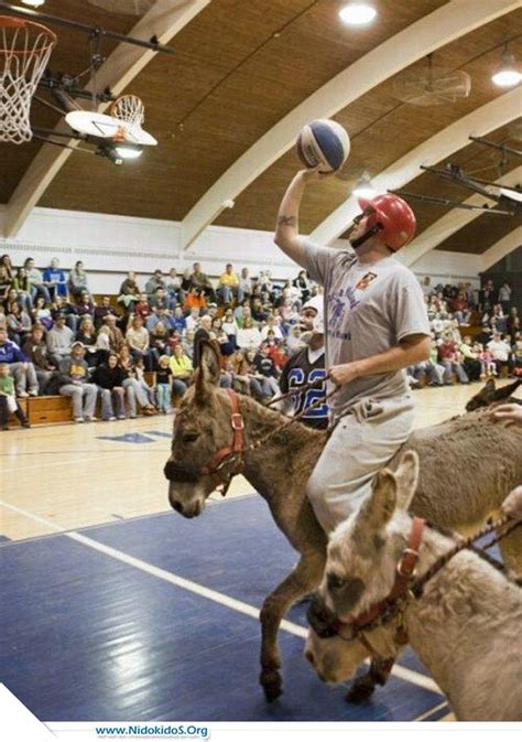 Cool Pictures: Top 10 Worst College Funny Basketball Mascots