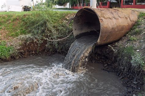 Your Action Helped! - North and South Rivers Watershed Association