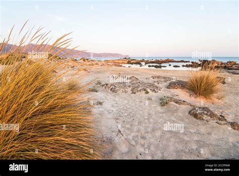 Elafonissi beach with pink sand at sunset hi-res stock photography and ...