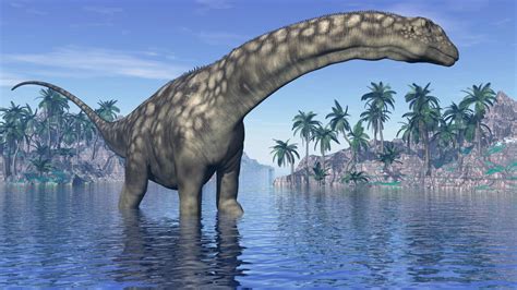 Massive new dinosaur might be the largest creature to ever roam Earth ...