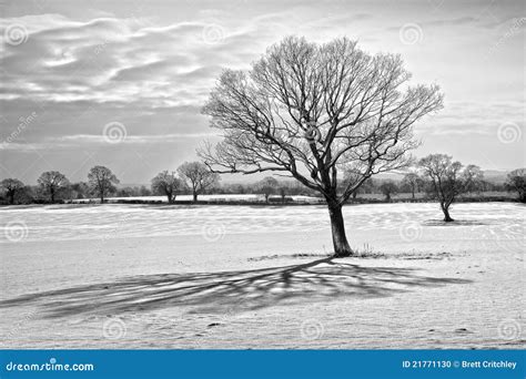 Winter depression stock photo. Image of winter, depression - 21771130